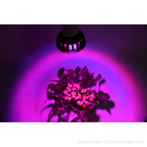 LED Grow Light 15W Plant Grow Lights E27 Growing Bulbs For Garden Greenhouse and Hydroponic Full Spectrum Growing Lamps
